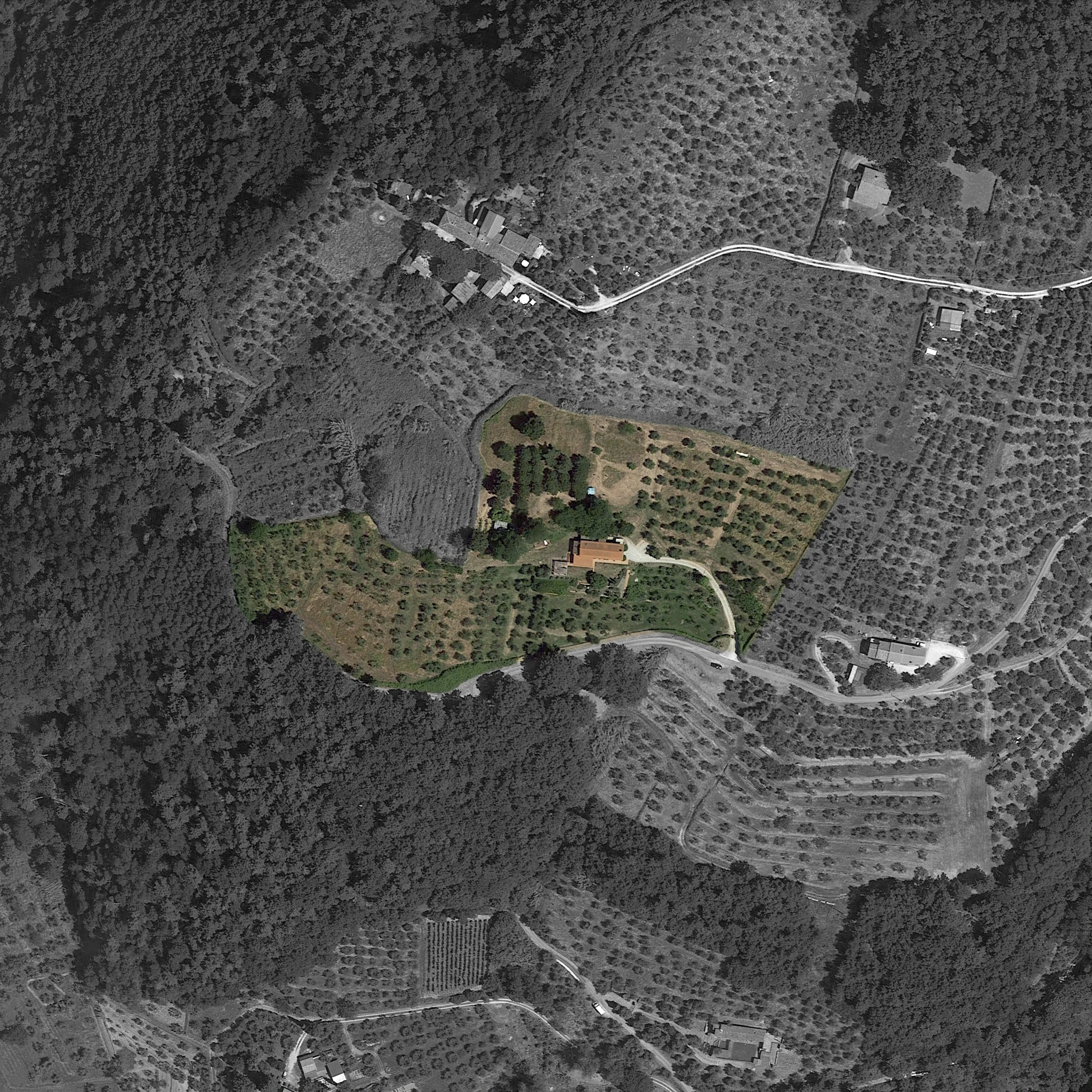 IMMAGINE SATELLITARE ZONA D'INTERESSE PRIMA DELL'INTERVENTO