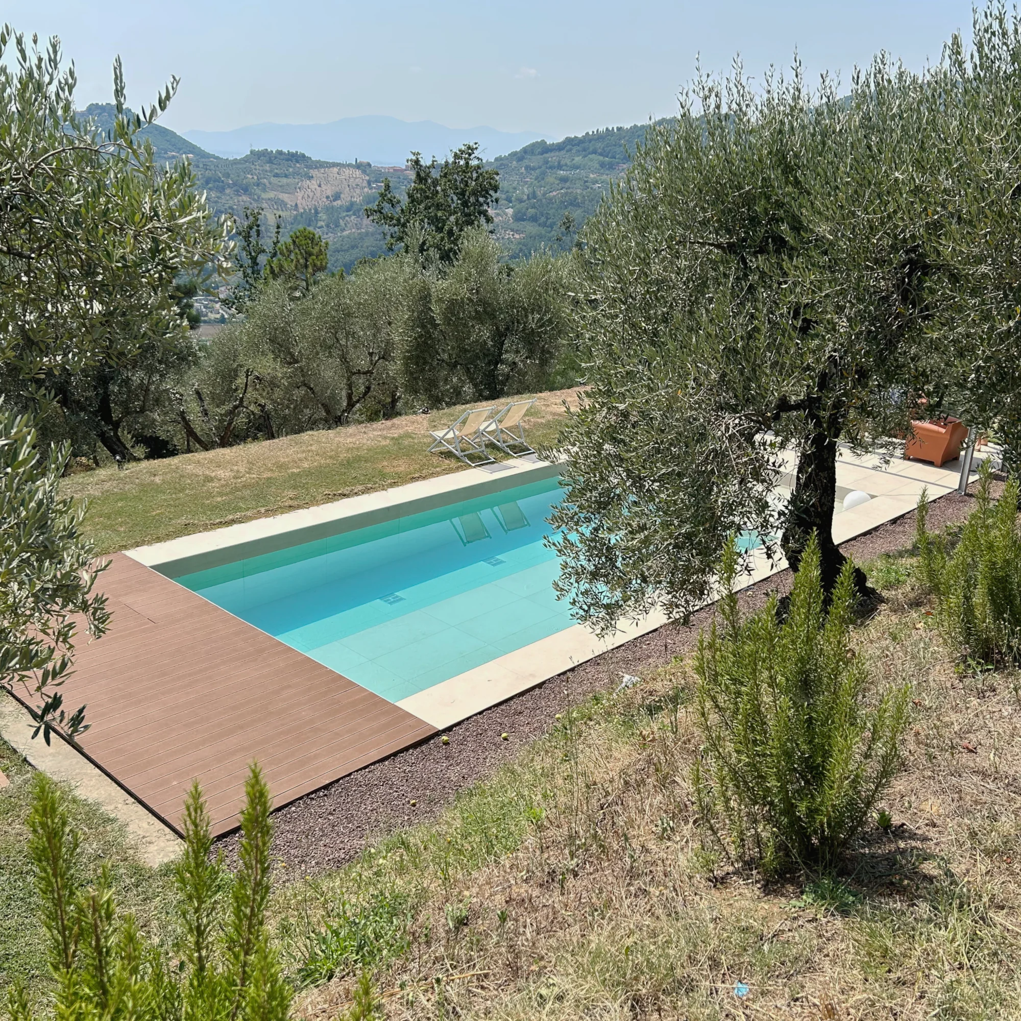 Immagine di progetto: piscina nell'oliveto