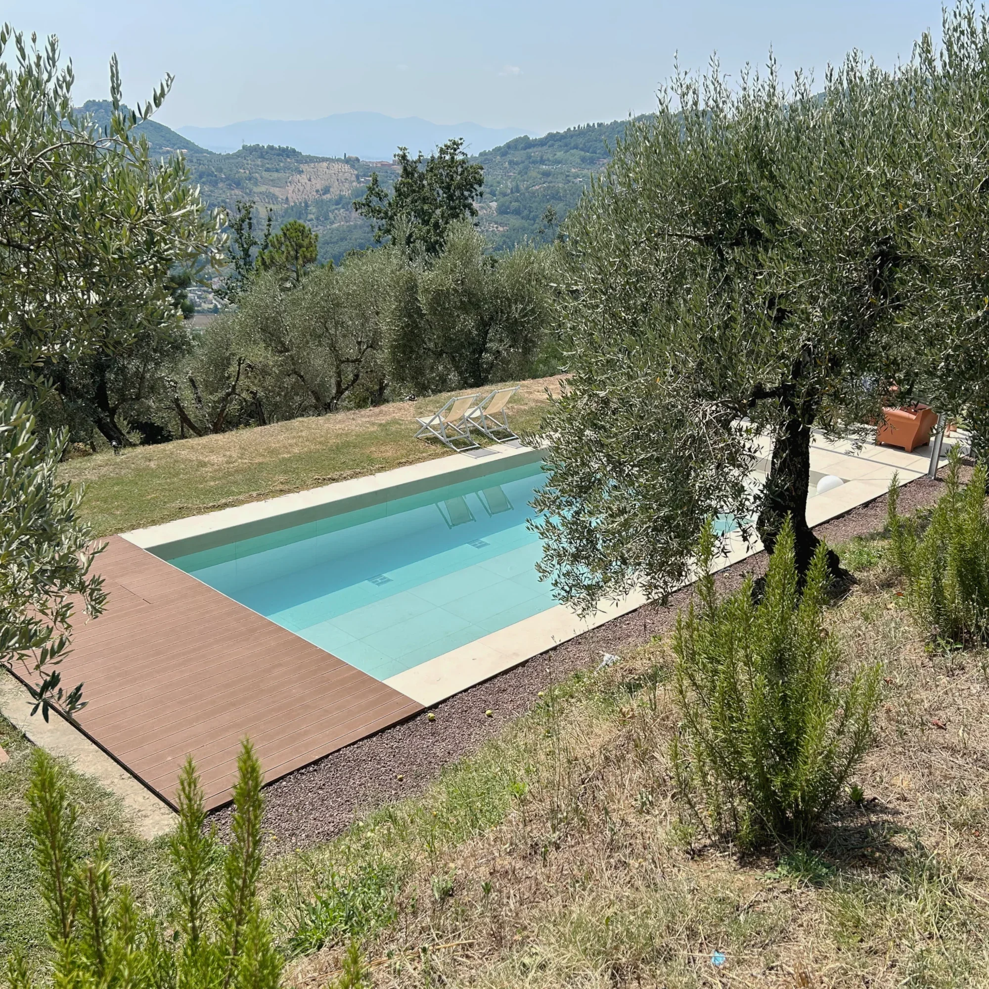 Progetto di piscina moderna a profondità variabile in un oliveto toscano. Design con solarium in deck di legno, bordo in pietra chiara e inserimento paesaggistico.